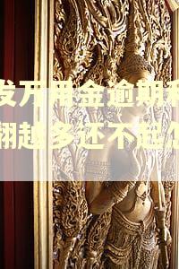 浦发万用金逾期利息越翻越多还不起怎么办