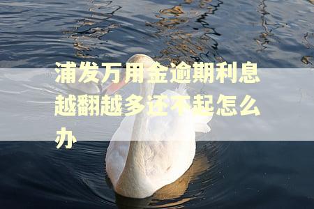浦发万用金逾期利息越翻越多还不起怎么办