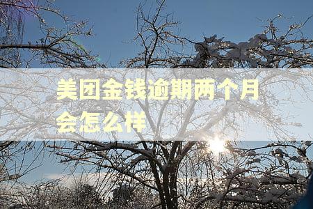 美团金钱逾期两个月会怎么样 美团金钱逾期两个月会怎么样