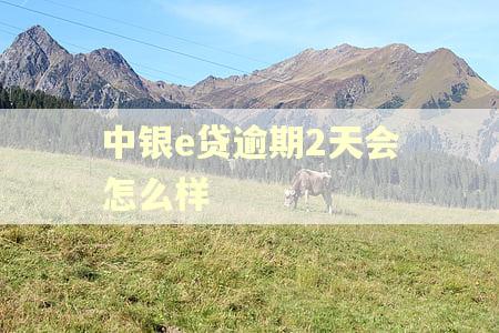 中银e贷逾期2天会怎么样