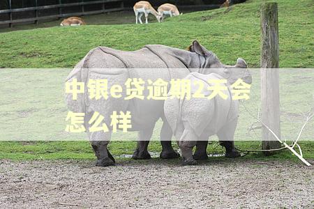 中银e贷逾期2天会怎么样