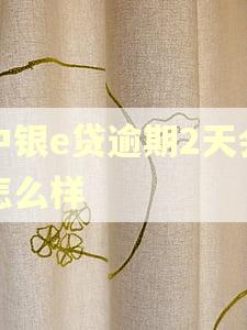 中银e贷逾期2天会怎么样