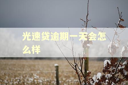光速贷逾期一天会怎么样