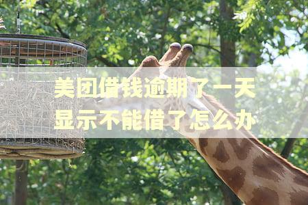 美团借钱逾期了一天显示不能借了怎么办