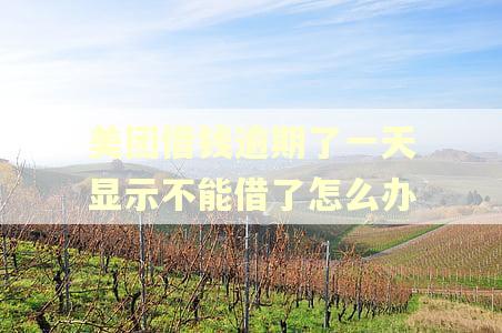 美团借钱逾期了一天显示不能借了怎么办