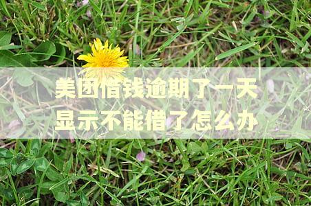 美团借钱逾期了一天显示不能借了怎么办