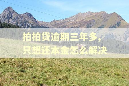 拍拍贷逾期三年多,只想还本金怎么解决 拍拍贷逾期三年多,只想还本金怎么解决
