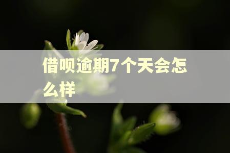 借呗逾期7个天会怎么样