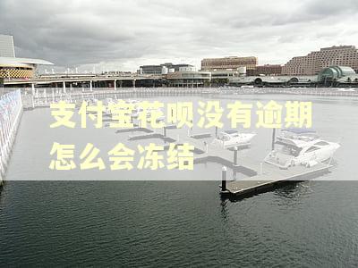 支付宝花呗没有逾期怎么会冻结