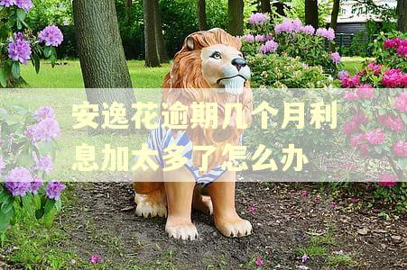 安逸花逾期几个月利息加太多了怎么办
