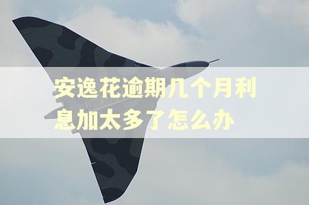 安逸花逾期几个月利息加太多了怎么办