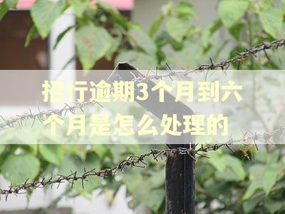 招行逾期3个月到六个月是怎么处理的