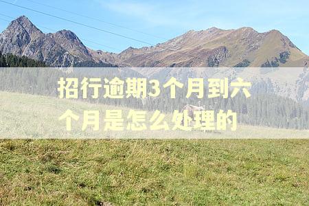 招行逾期3个月到六个月是怎么处理的 招行逾期3个月到六个月是怎么处理的
