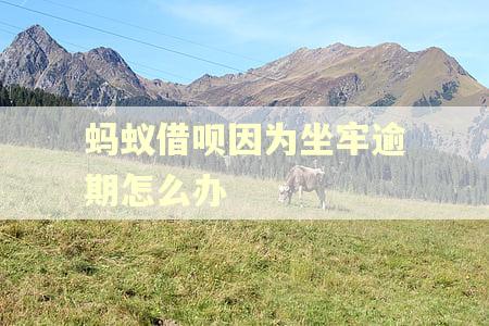 蚂蚁借呗因为坐牢逾期怎么办