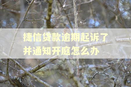 捷信贷款逾期起诉了并通知开庭怎么办