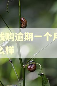 提钱购逾期一个月会怎么样