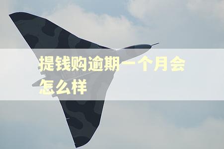 提钱购逾期一个月会怎么样 提钱购逾期一个月会怎么样