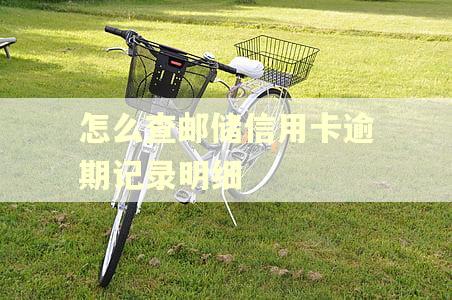 怎么查邮储信用卡逾期记录明细