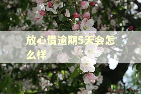放心借逾期5天会怎么样 放心借逾期5天会怎么样