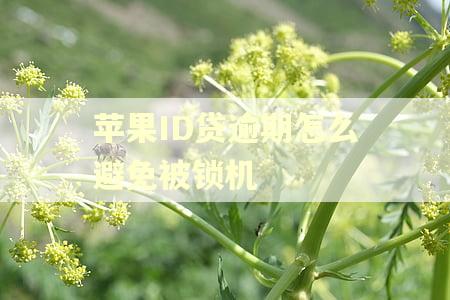 苹果ID贷逾期怎么避免被锁机