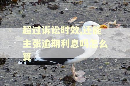 超过诉讼时效,还能主张逾期利息吗怎么算