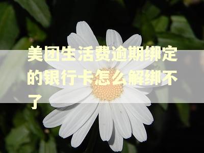 美团生活费逾期绑定的银行卡怎么解绑不了