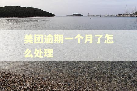 美团逾期一个月了怎么处理