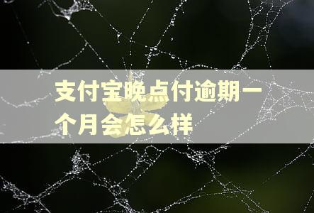 支付宝晚点付逾期一个月会怎么样