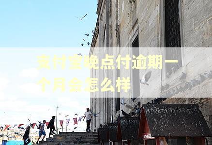 支付宝晚点付逾期一个月会怎么样