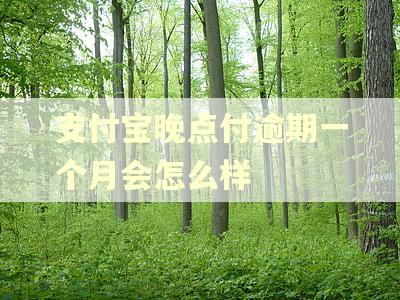 支付宝晚点付逾期一个月会怎么样