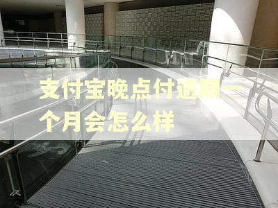 支付宝晚点付逾期一个月会怎么样