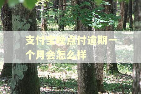 支付宝晚点付逾期一个月会怎么样 支付宝晚点付逾期一个月会怎么样