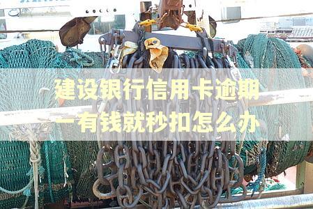 建设银行信用卡逾期一有钱就秒扣怎么办