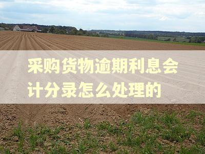 采购货物逾期利息会计分录怎么处理的