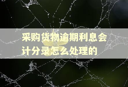 采购货物逾期利息会计分录怎么处理的