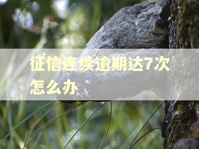 征信连续逾期达7次怎么办