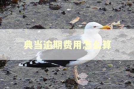 典当逾期费用怎么算