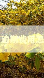 典当逾期费用怎么算