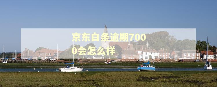 京东白条逾期7000会怎么样