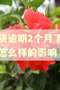 房贷逾期2个月了会有怎么样的影响