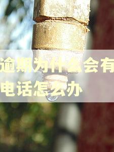 没逾期为什么会有催收电话怎么办