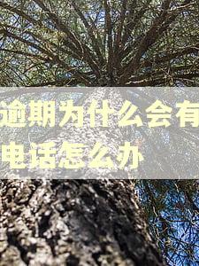 没逾期为什么会有催收电话怎么办