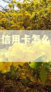 建行信用卡怎么算逾期的