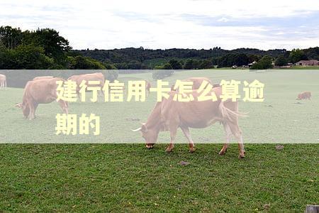建行信用卡怎么算逾期的 建行信用卡怎么算逾期的
