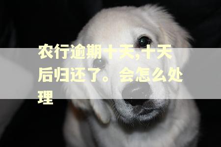农行逾期十天,十天后归还了。会怎么处理