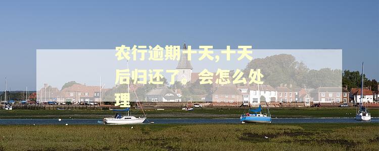 农行逾期十天,十天后归还了。会怎么处理