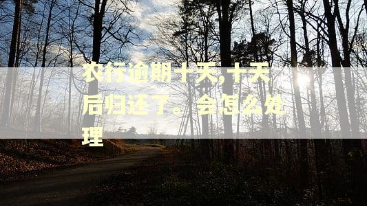 农行逾期十天,十天后归还了。会怎么处理 农行逾期十天,十天后归还了。会怎么处理