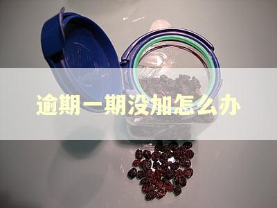 逾期一期没加怎么办