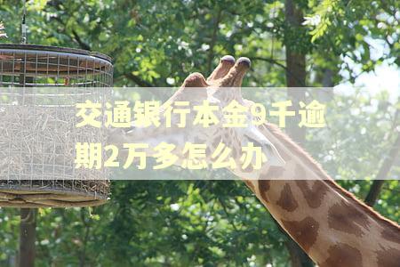 交通银行本金9千逾期2万多怎么办