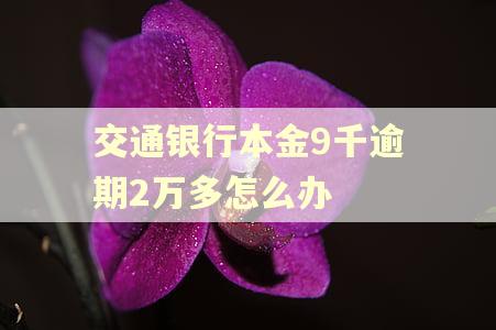 交通银行本金9千逾期2万多怎么办